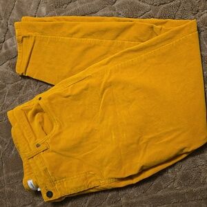 Edyson Skinny Corduroy Pant Yellow-Orange Stitch Fix 16W Plus Size Stretch